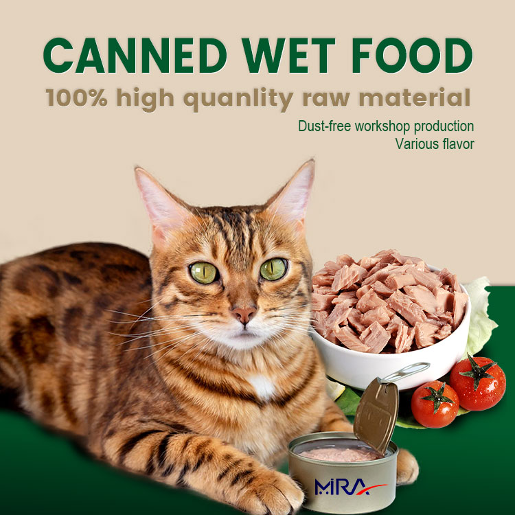 customized Canned wet food price for cat kitten from China Factory