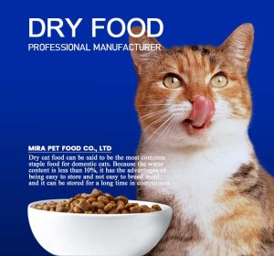dry-cat-food-Mira